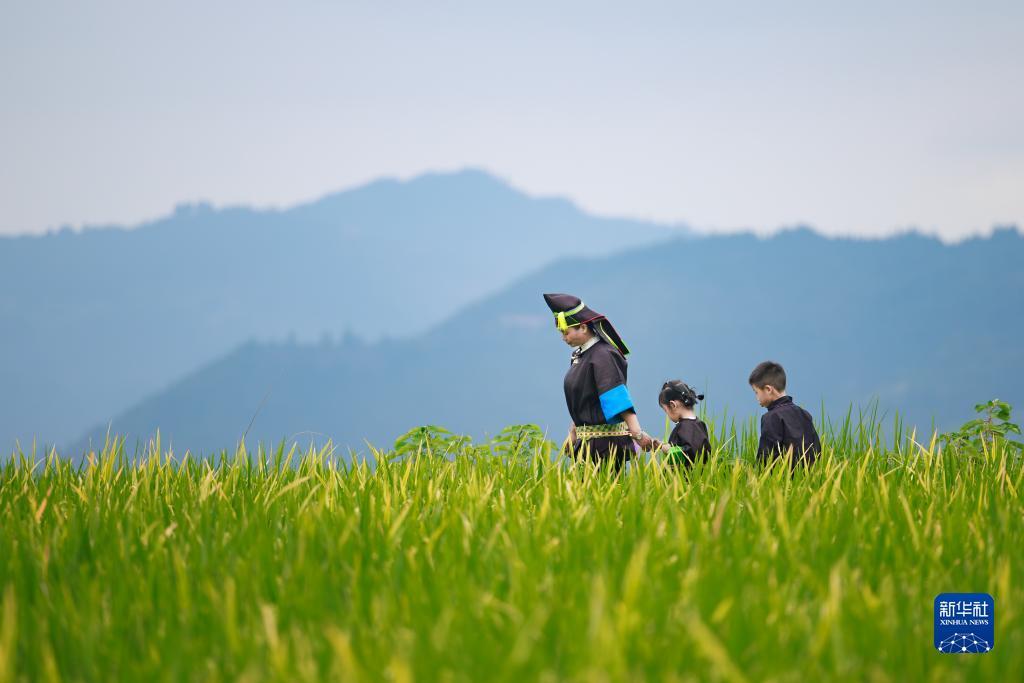 葡京官方网